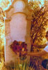 Gier Photos