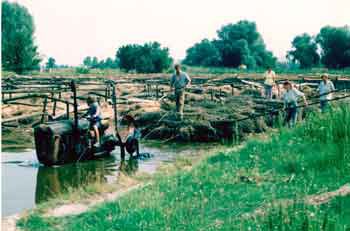 Hemp retting